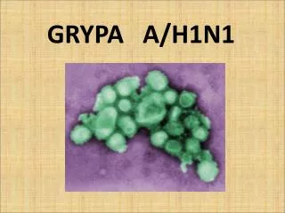 grypa a h1n1