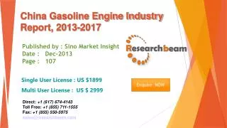 China Gasoline Engine Market Size, Share, Industry 2013-2017