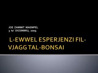 joe zammit maempel 3 ta dicembru 2009