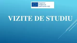 vizite de studiu