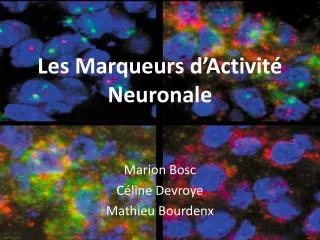 Les Marqueurs d’Activité Neuronale