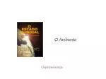 O Ambiente - slide 1