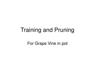 Training and Pruning
