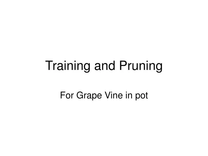training and pruning