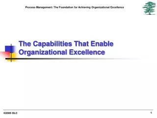 The Capabilities That Enable Organizational Excellence