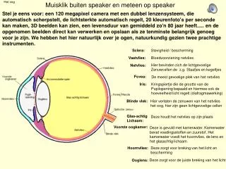 het oog