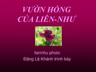 v n h ng c a li n nh