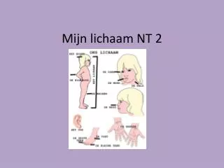 mijn lichaam nt 2