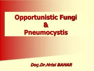 Opportunistic Fung i &amp; Pneumocystis