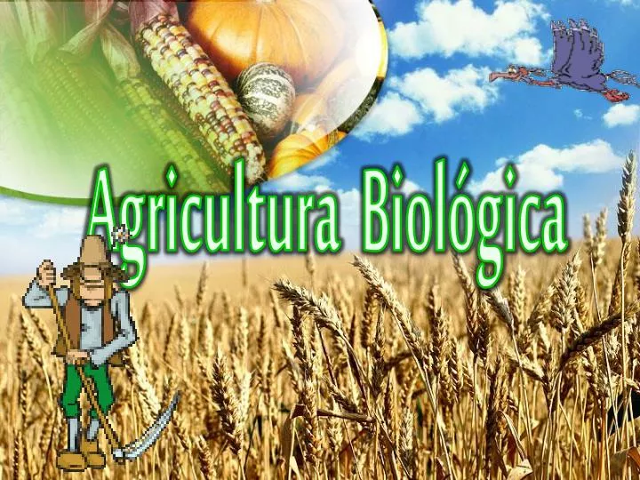 agricultura biol gica