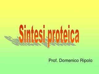 prof domenico ripolo