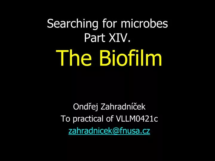 searching for microbes part xi v the biofilm