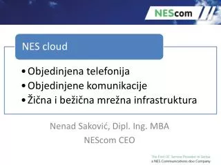 nenad sakovi dipl ing mba nescom ceo