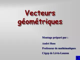 vecteurs g om triques