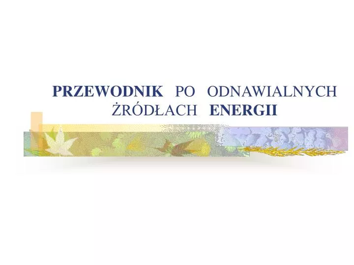 przewodnik po odnawialnych r d ach energii