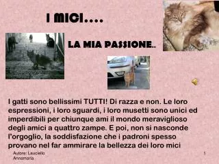 i mici