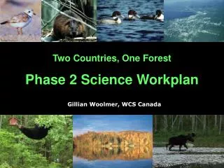 Two Countries, One Forest Phase 2 Science Workplan