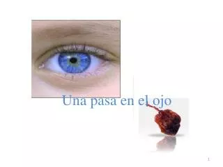 una pasa en el ojo