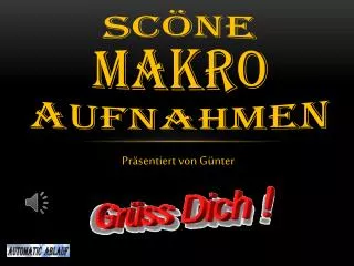 sc ne makro aufnahmen