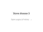 Stone disease 3 - slide 1