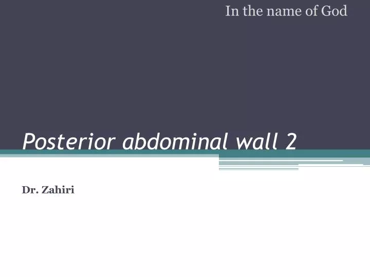 posterior abdominal wall 2
