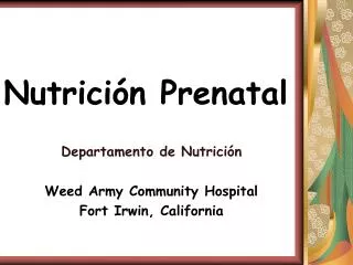 nutrici n prenatal