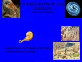 clasificaci n de los animales parte v los cordados