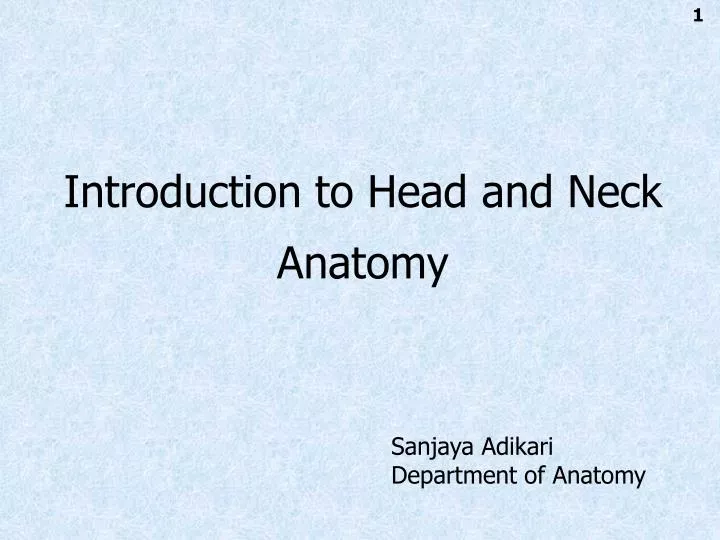 introduction to head and neck anatomy