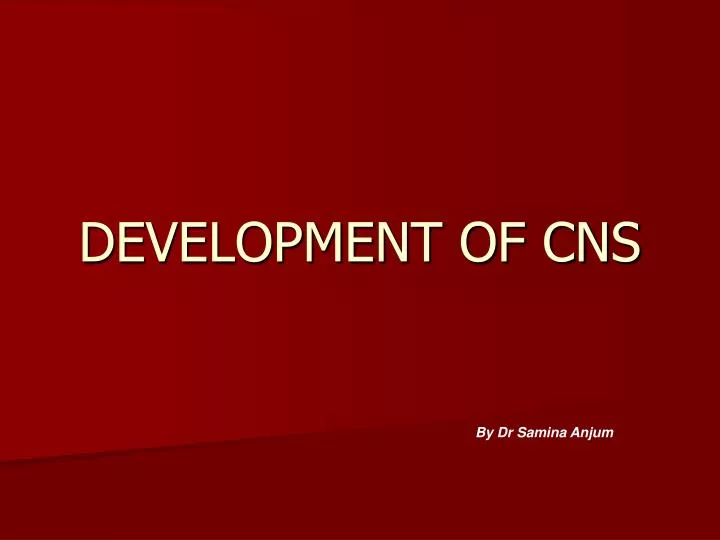 development of cns