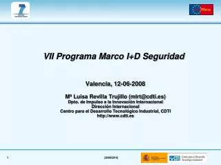 vii programa marco i d seguridad