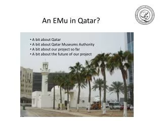 An EMu in Qatar?