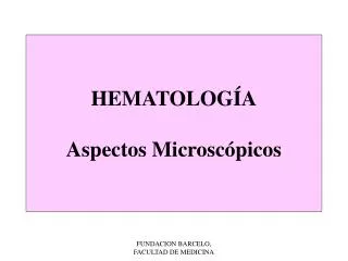 hematolog a aspectos microsc picos