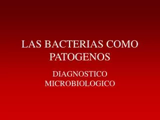 las bacterias como patogenos
