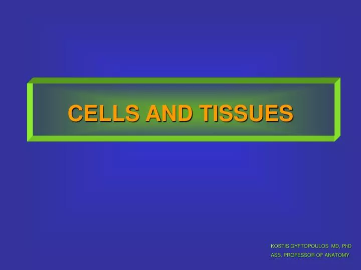 cells and tissues