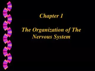 Chapter 1 The Organization of The Nervous System