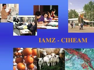 IAMZ - CIHEAM