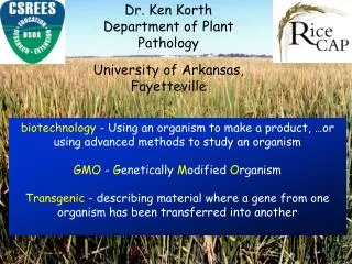 Dr. Ken Korth Department of Plant Pathology University of Arkansas, Fayetteville