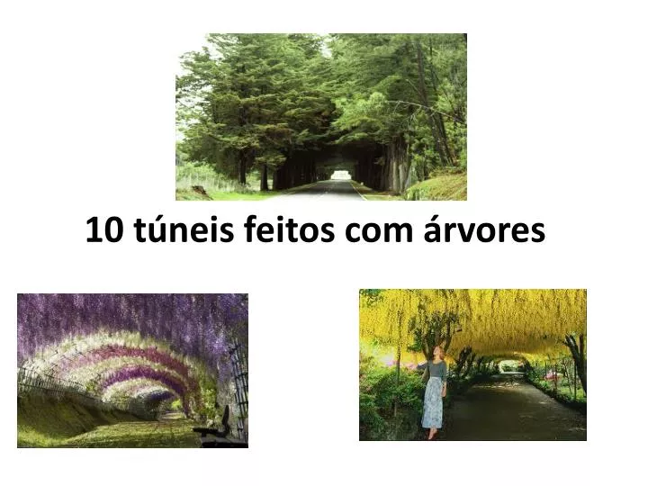 10 t neis feitos com rvores