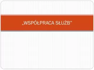 wsp praca s u b