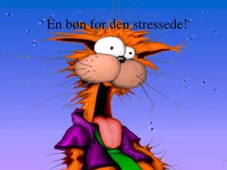 en b n for den stressede