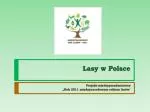 Lasy w Polsce - slide 1