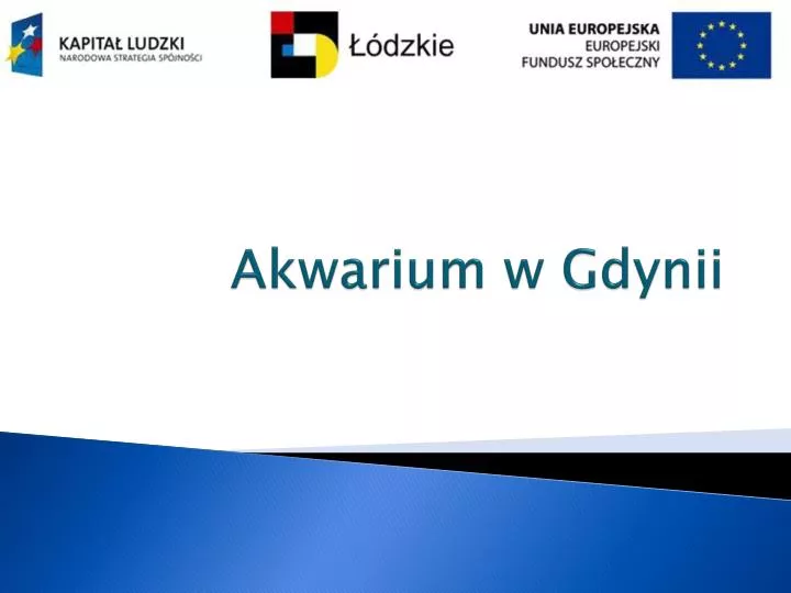 akwarium w gdynii