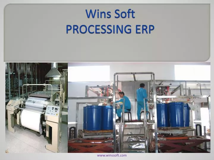 wins soft processing erp