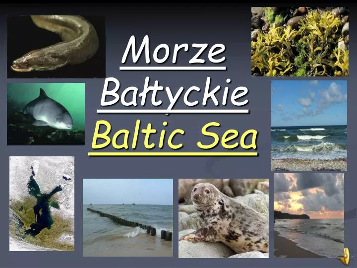 morze ba tyckie baltic sea