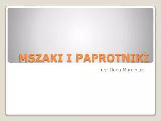 mszaki i paprotniki