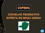 CONSELHO FEDERATIVO ESPÍRITA DE MINAS GERAIS - slide 1