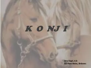 k o nj i