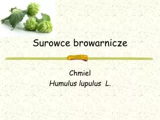 surowce browarnicze