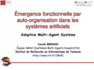 mergence fonctionnelle par auto organisation dans les syst mes artificiels