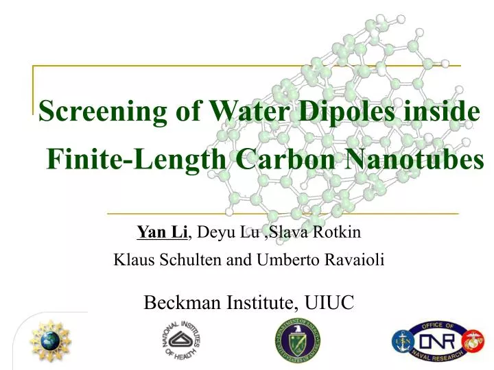 screening of water dipoles inside finite length carbon nanotubes